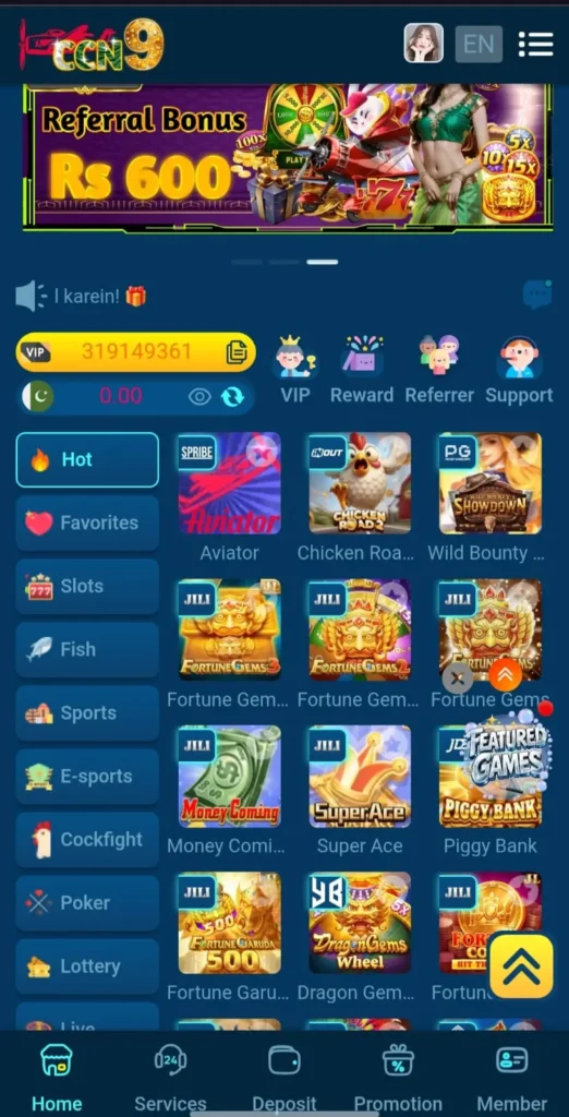 ccn9 game interface
