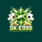 SKE999 Game